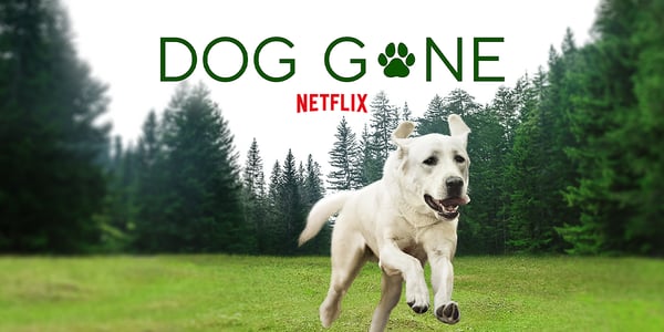a dog running across a field with trees in the background and the words Dog Gone and Netflix above